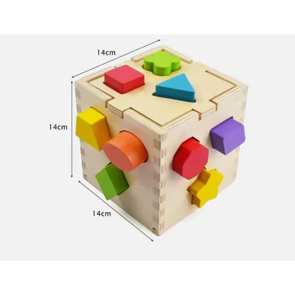 Acool Toys Wooden Shape Sorter Box Multicolor Age- 18 Months & Above