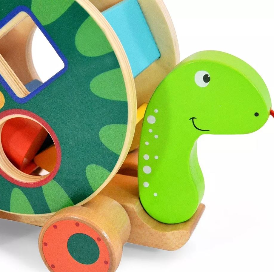 Acool Toys Turtle Pullalong Shape Sorter Multicolor Age- 18 Months & Above