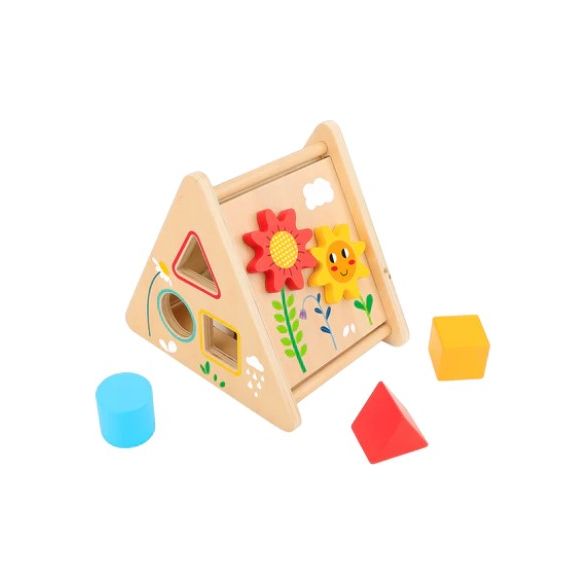 Tooky Toy 2-in-1 Activity Triangle+Shape Sorter Multicolor Age- 12 Months & Above